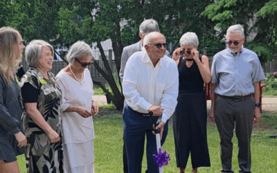 Dr. Mehta: 50 Years at Actionmarguerite