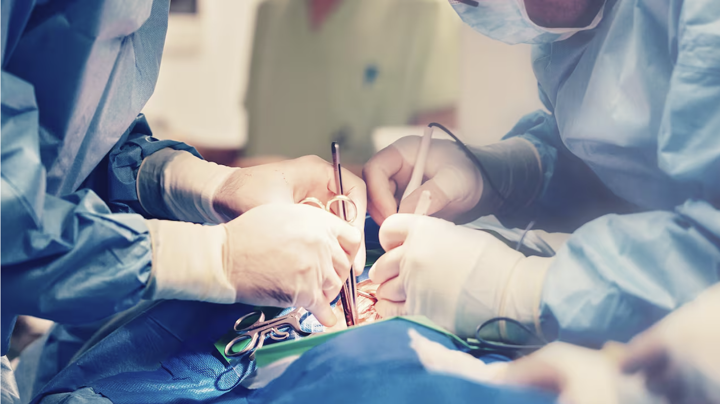 Screenshot 2026-04-01 at 3.27.45 PM